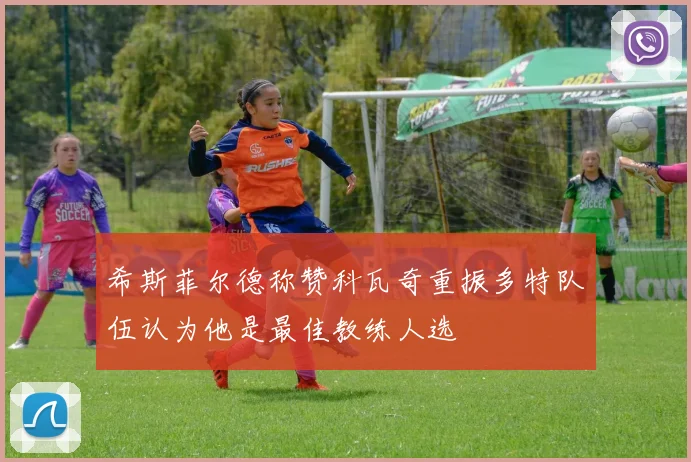 希斯菲尔德称赞科瓦奇重振多特队伍认为他是最佳教练人选