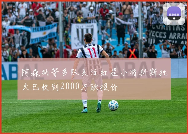 阿森纳等多队关注红星小将科斯托夫已收到2000万欧报价